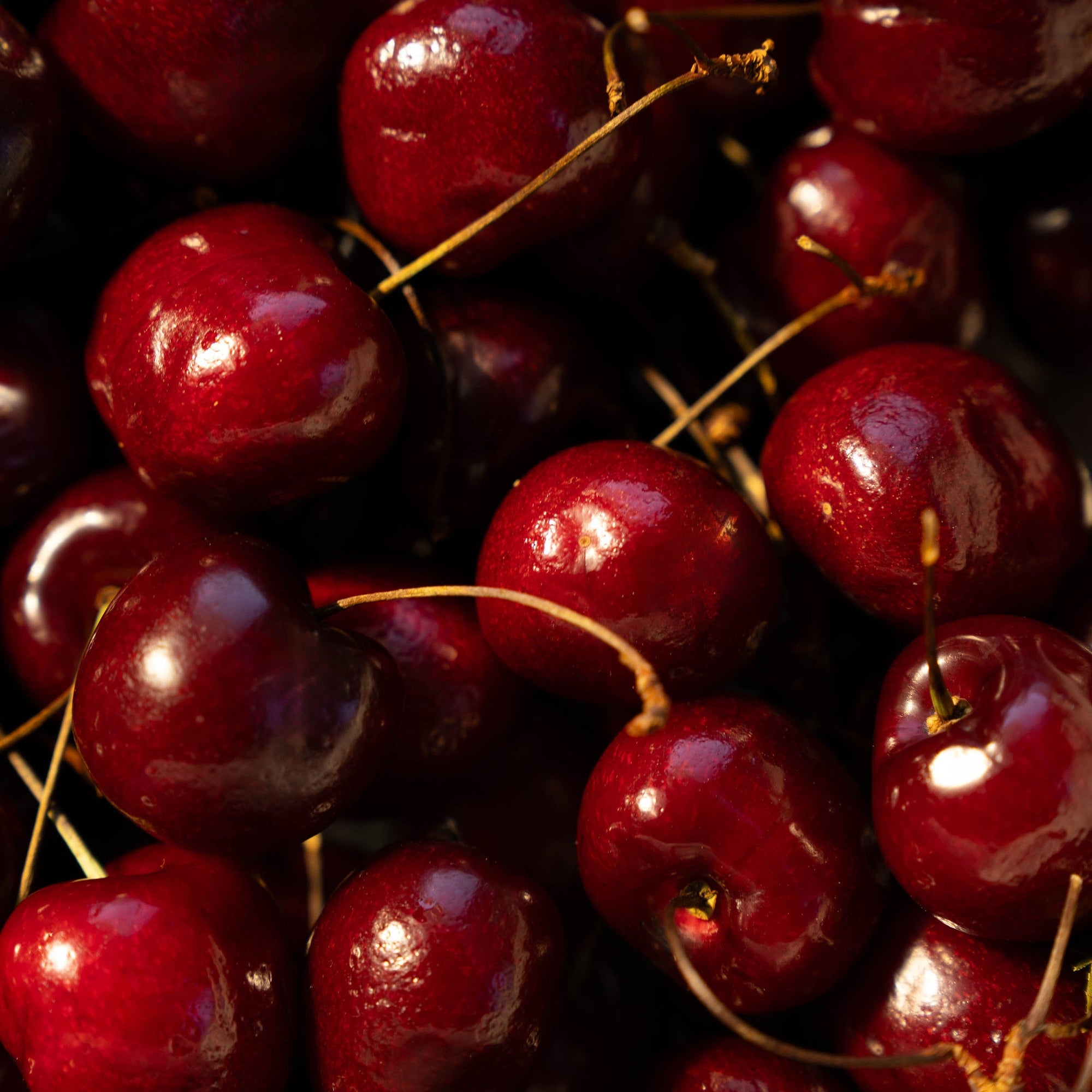 Pile of dark red cherries