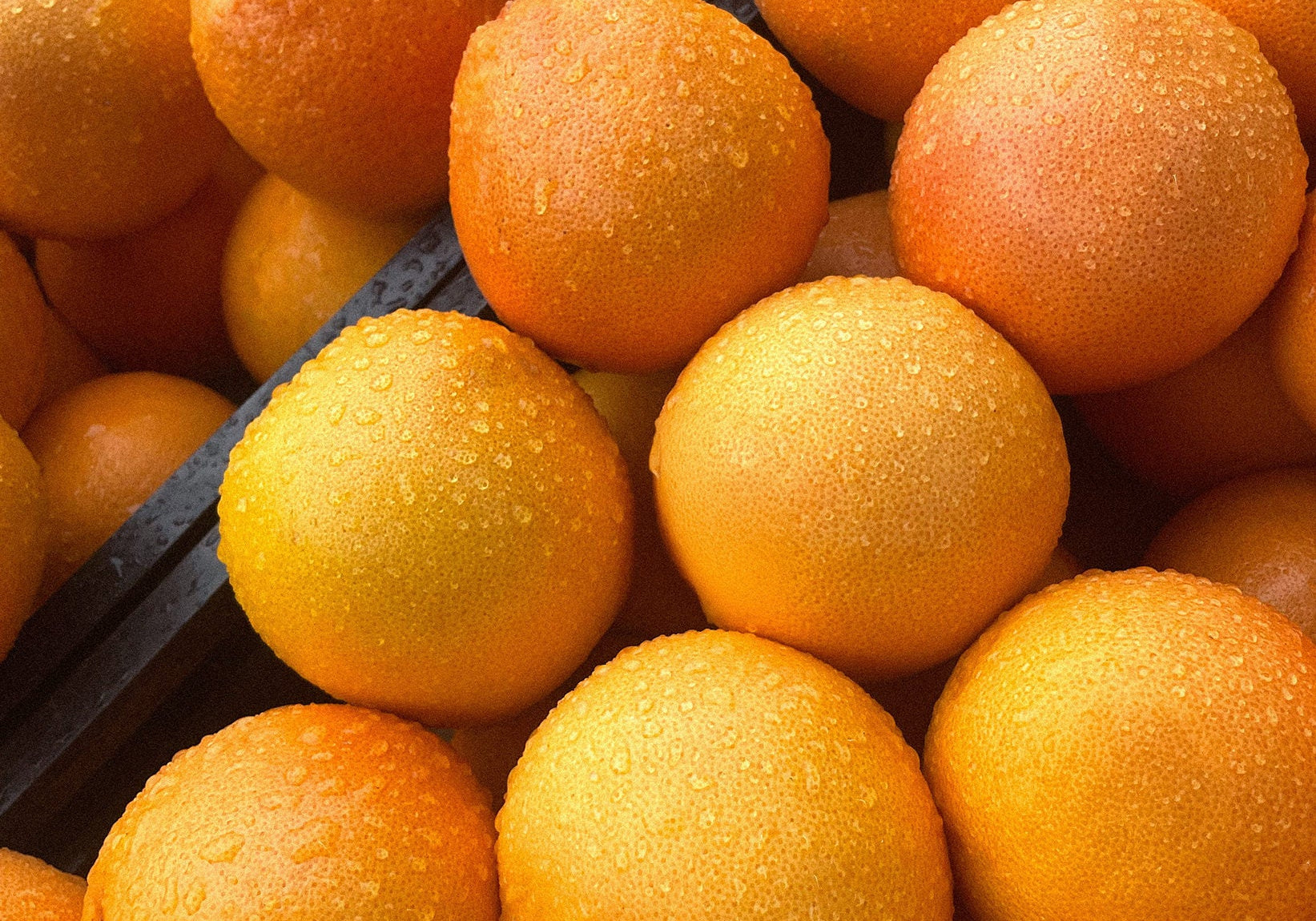 Pile of fresh oranges
