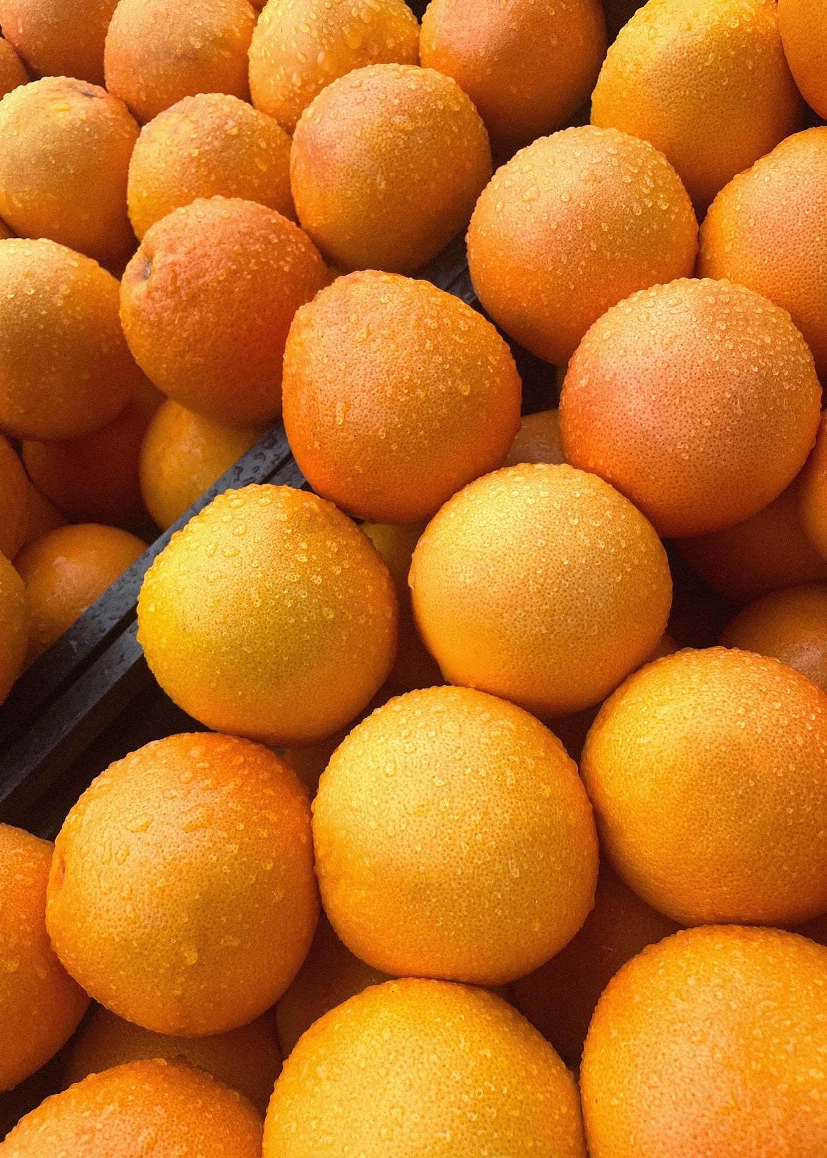 Pile of fresh oranges