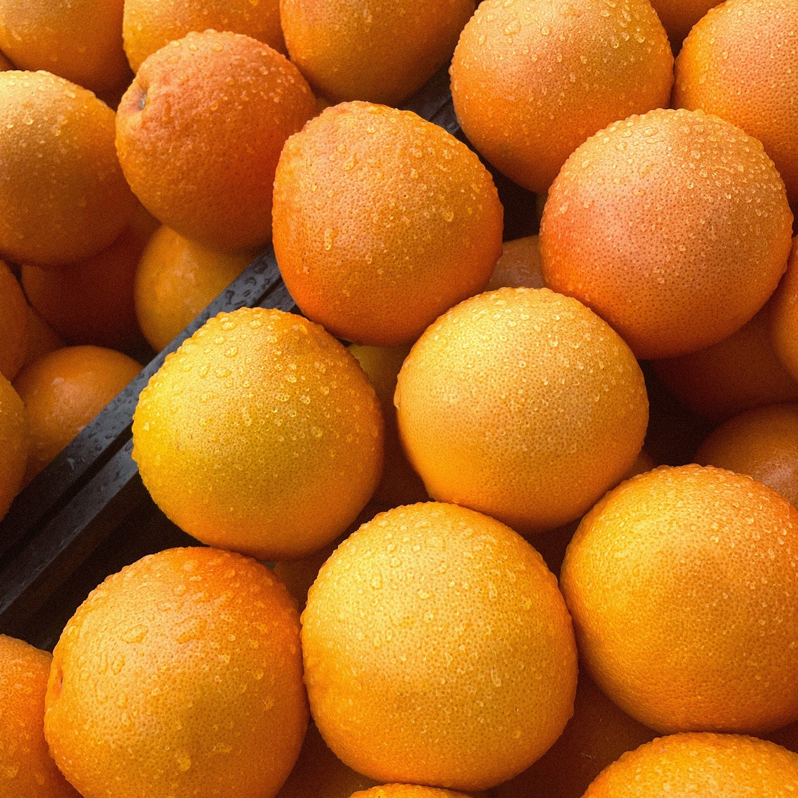 Pile of fresh oranges