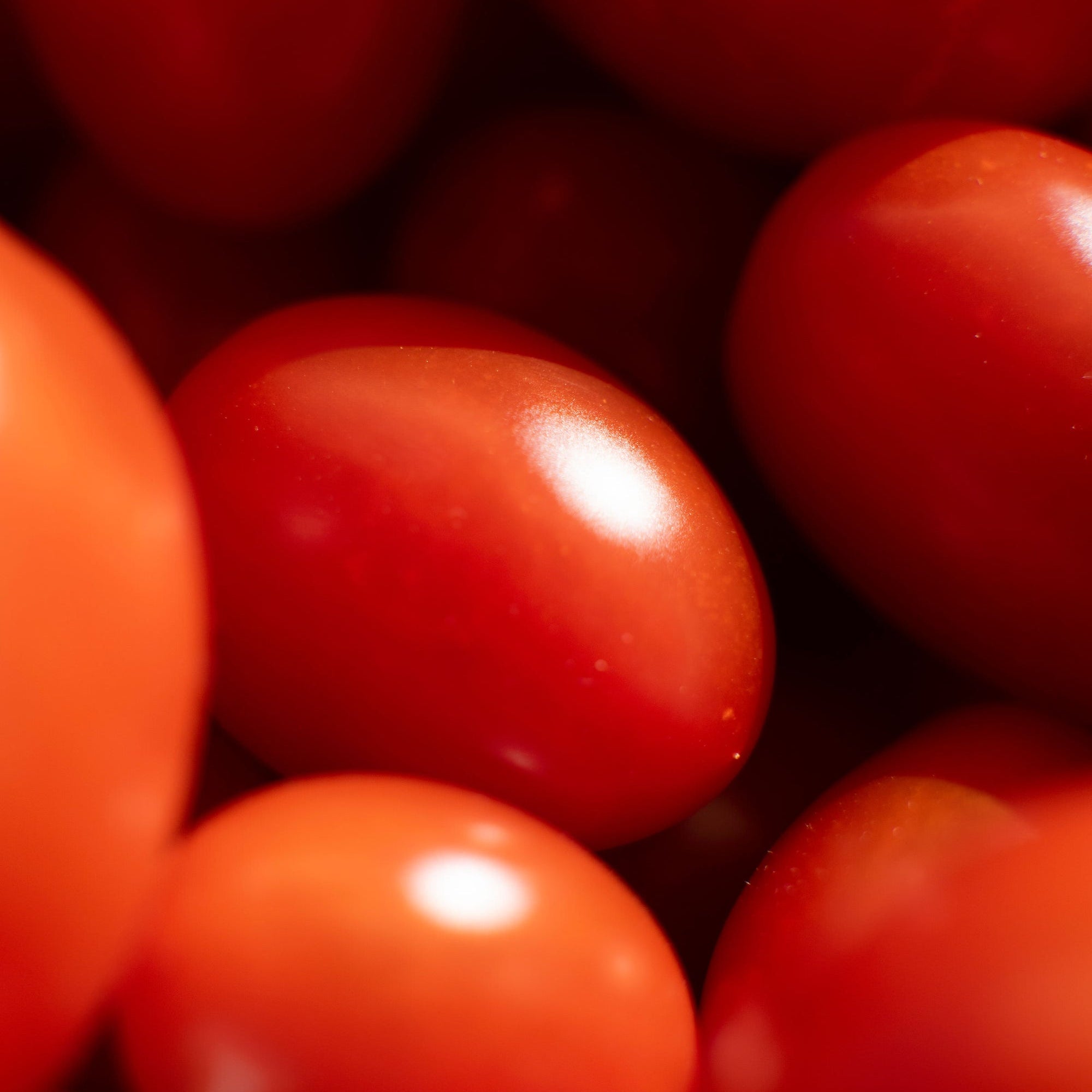 Pile of ripe red plum tomatoes