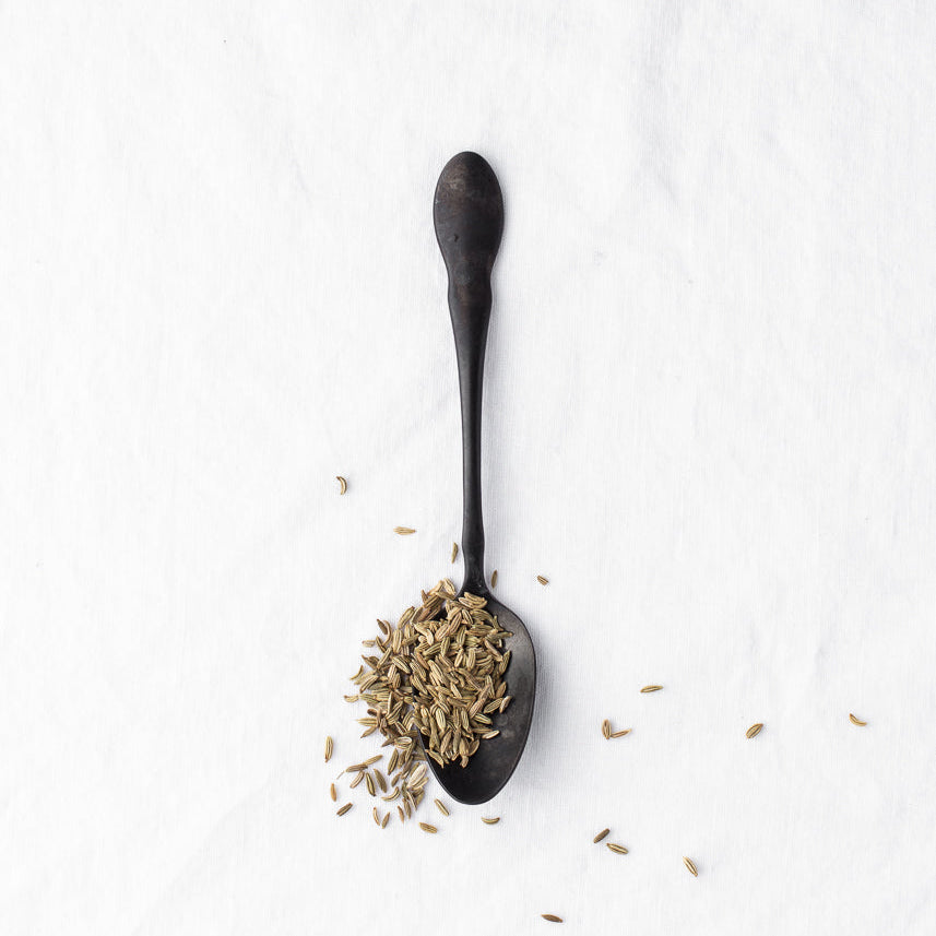 Black spoon holding fennel seeds on a white surface