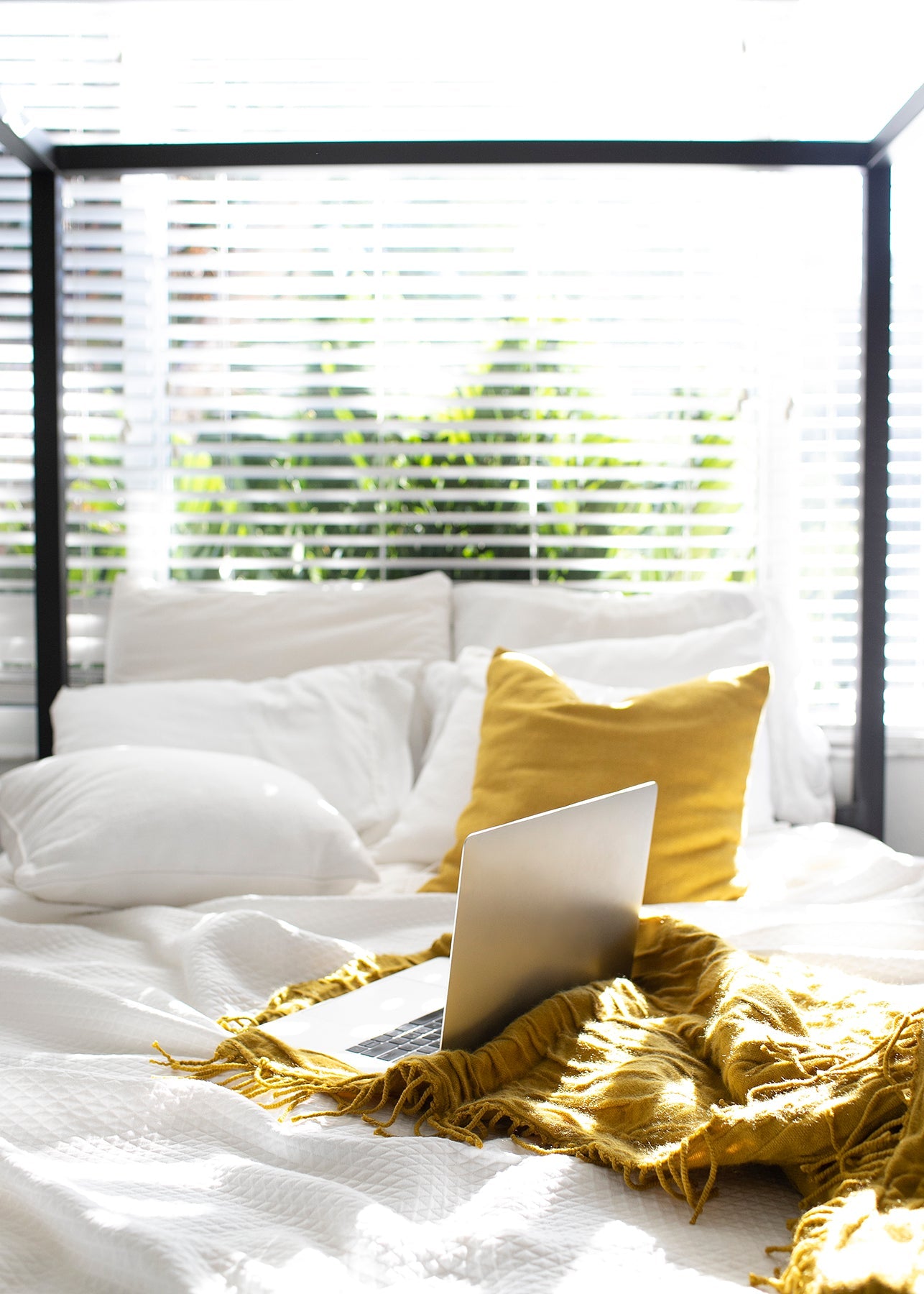 Cozy bed with white linens, a mustard pillow and throw blanket, and a laptop, set by a sunlit window