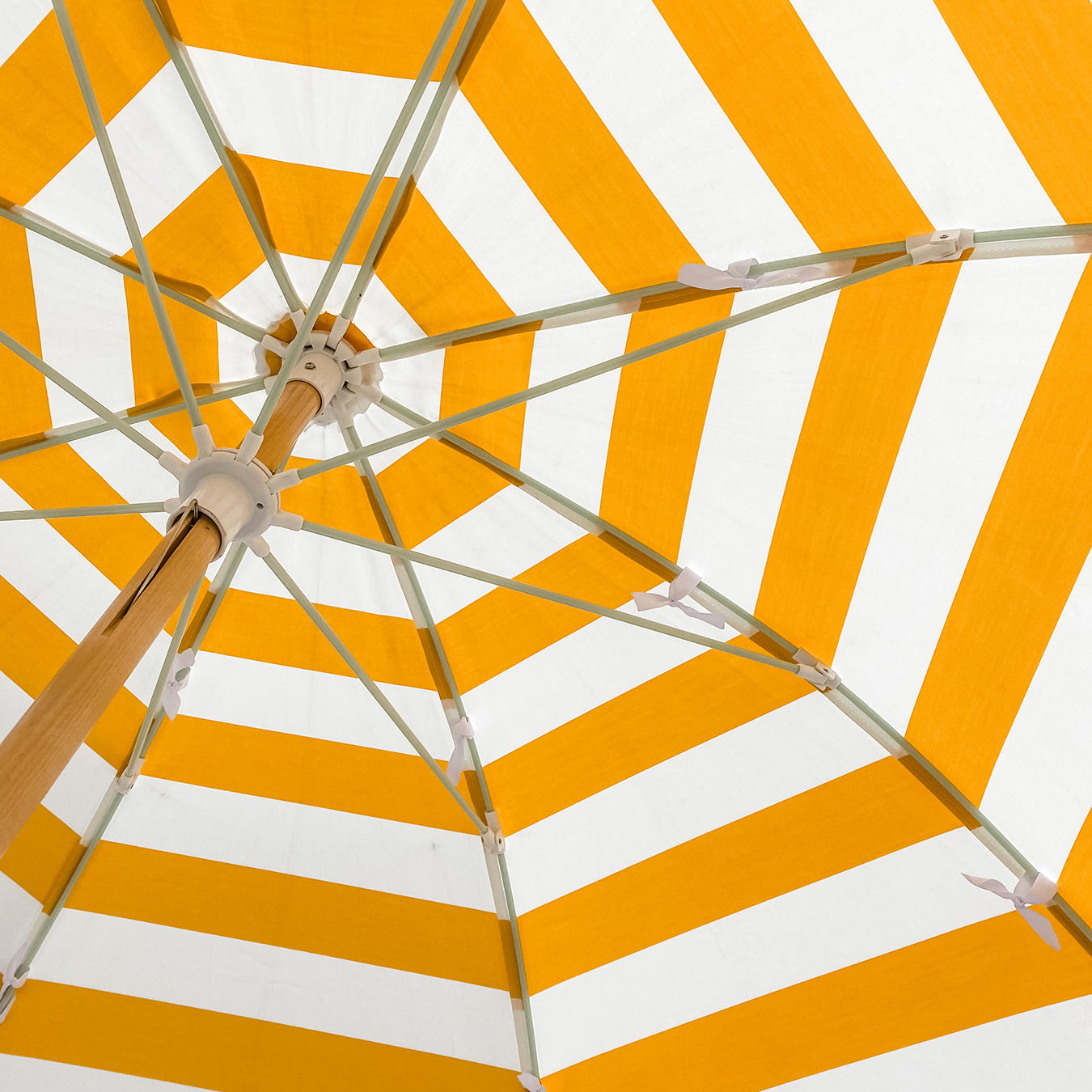 Shining Light on the Importance of Vitamin D: Why It's Crucial for Your Health!