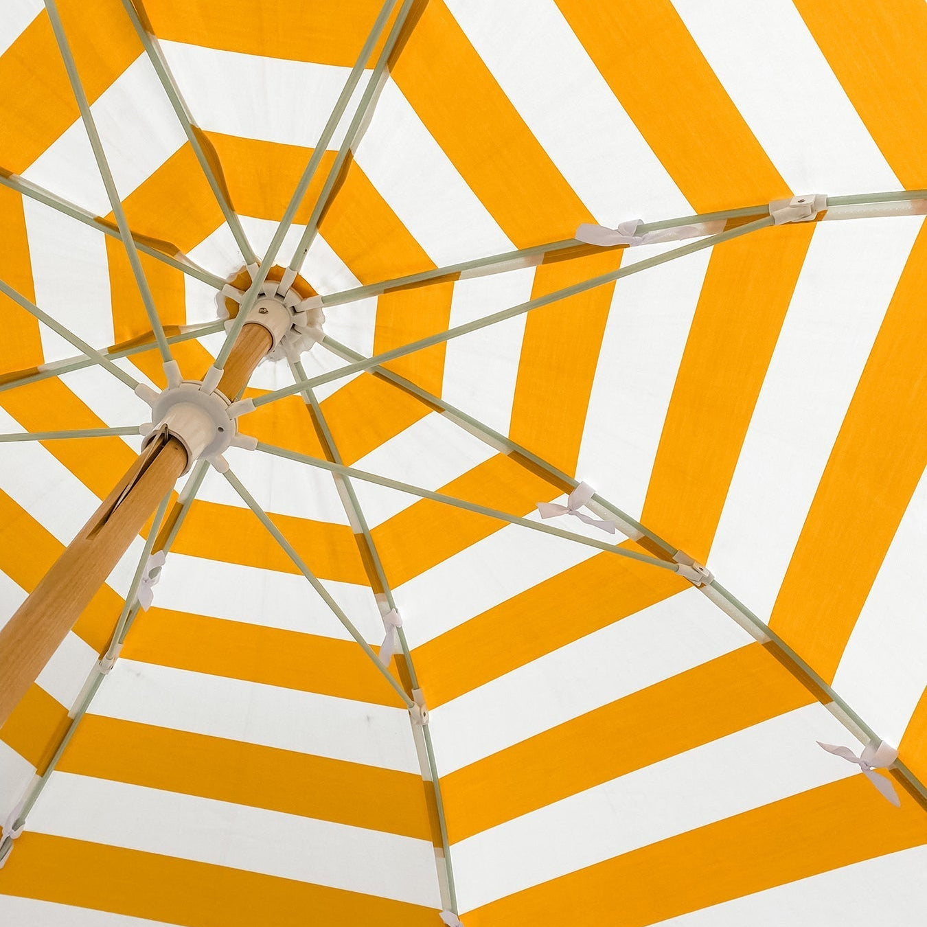 Shining Light on the Importance of Vitamin D: Why It's Crucial for Your Health!