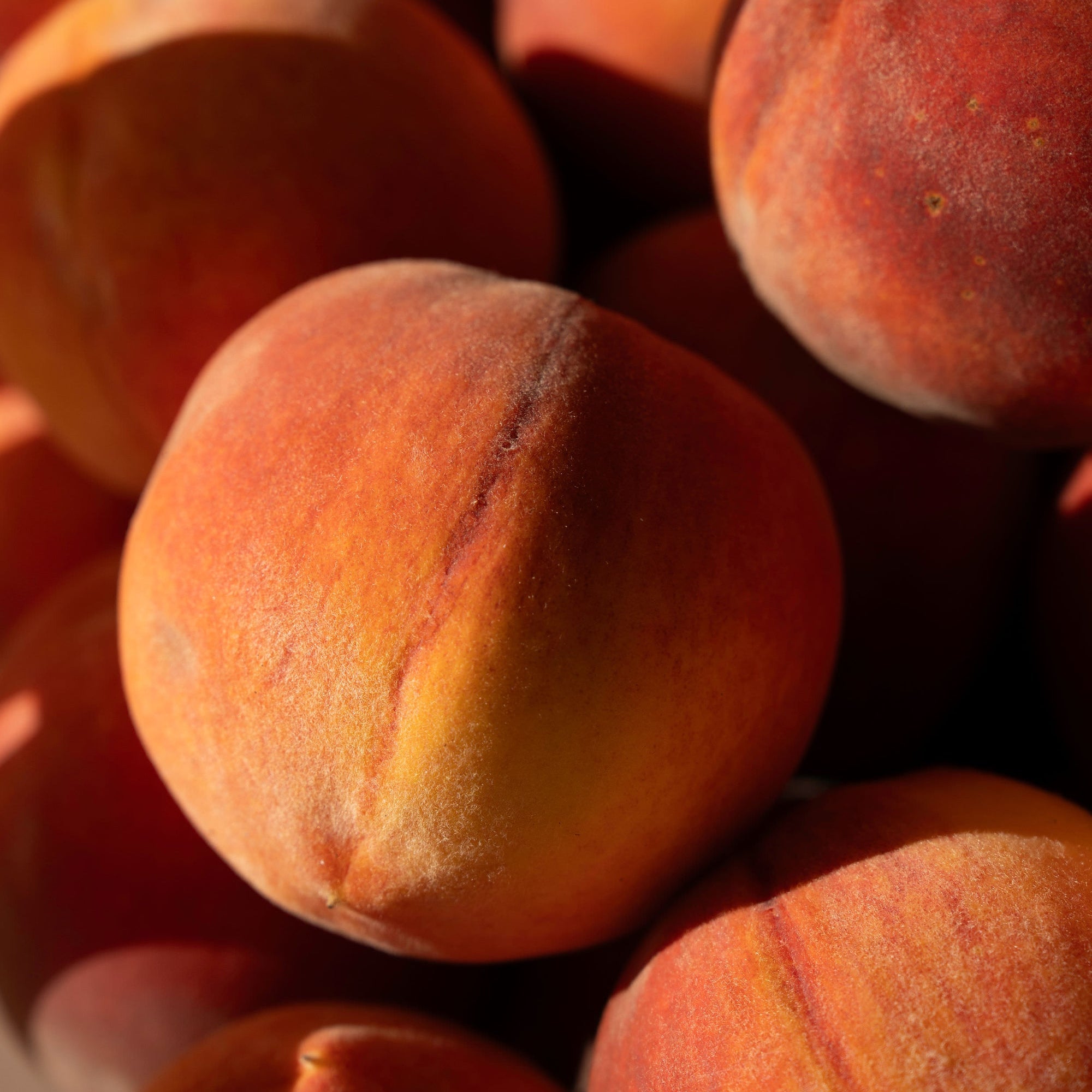 Pile of ripe peaches
