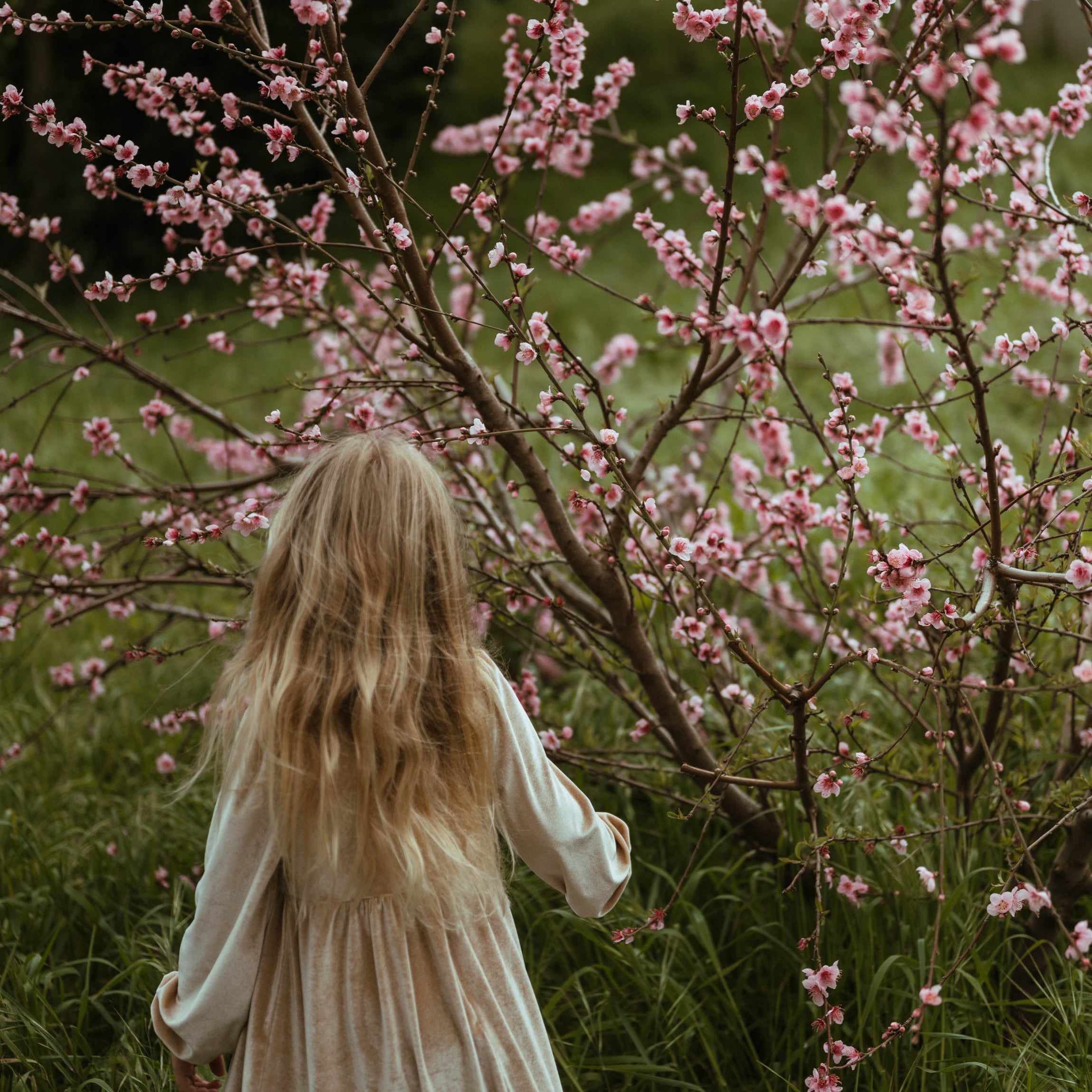 Young girl in a flowy dress walking through a blossoming garden