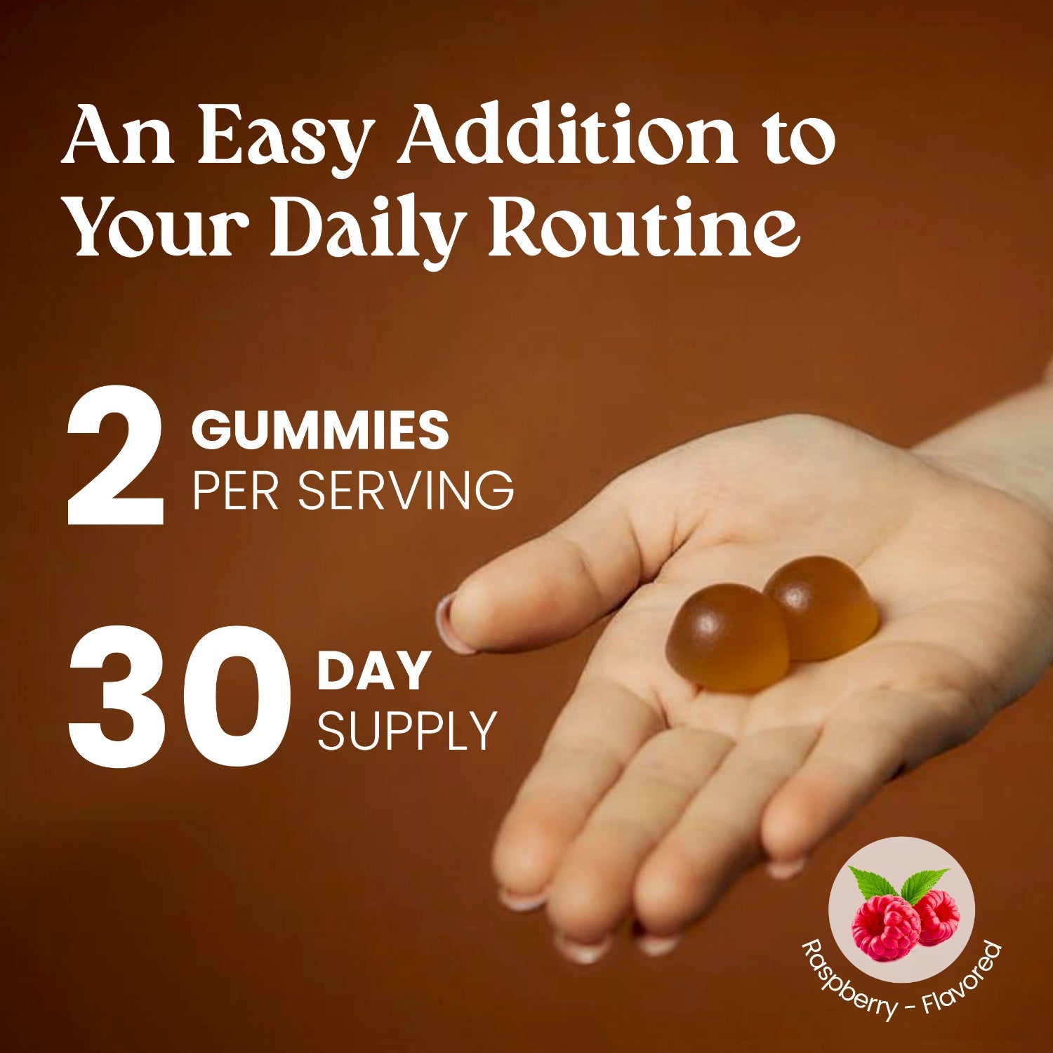 vita globe mushroom gummies daily routine