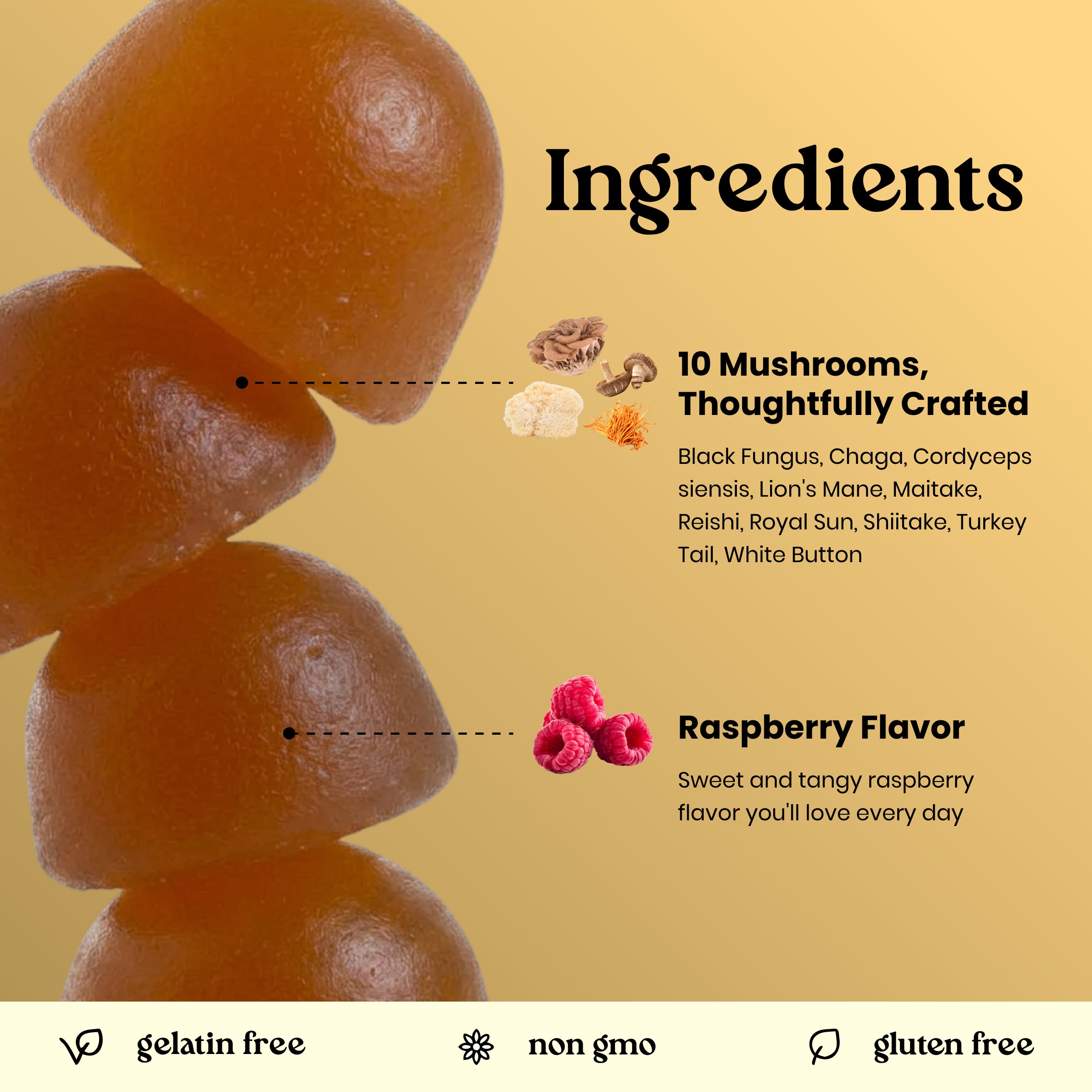 Ingredients infographic for a mushroom gelatin snack. The left side shows several glossy amber-brown gelatin puffs on a warm beige background.