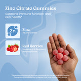 Zinc Citrate Gummies with red berries held in a hand against a blue background