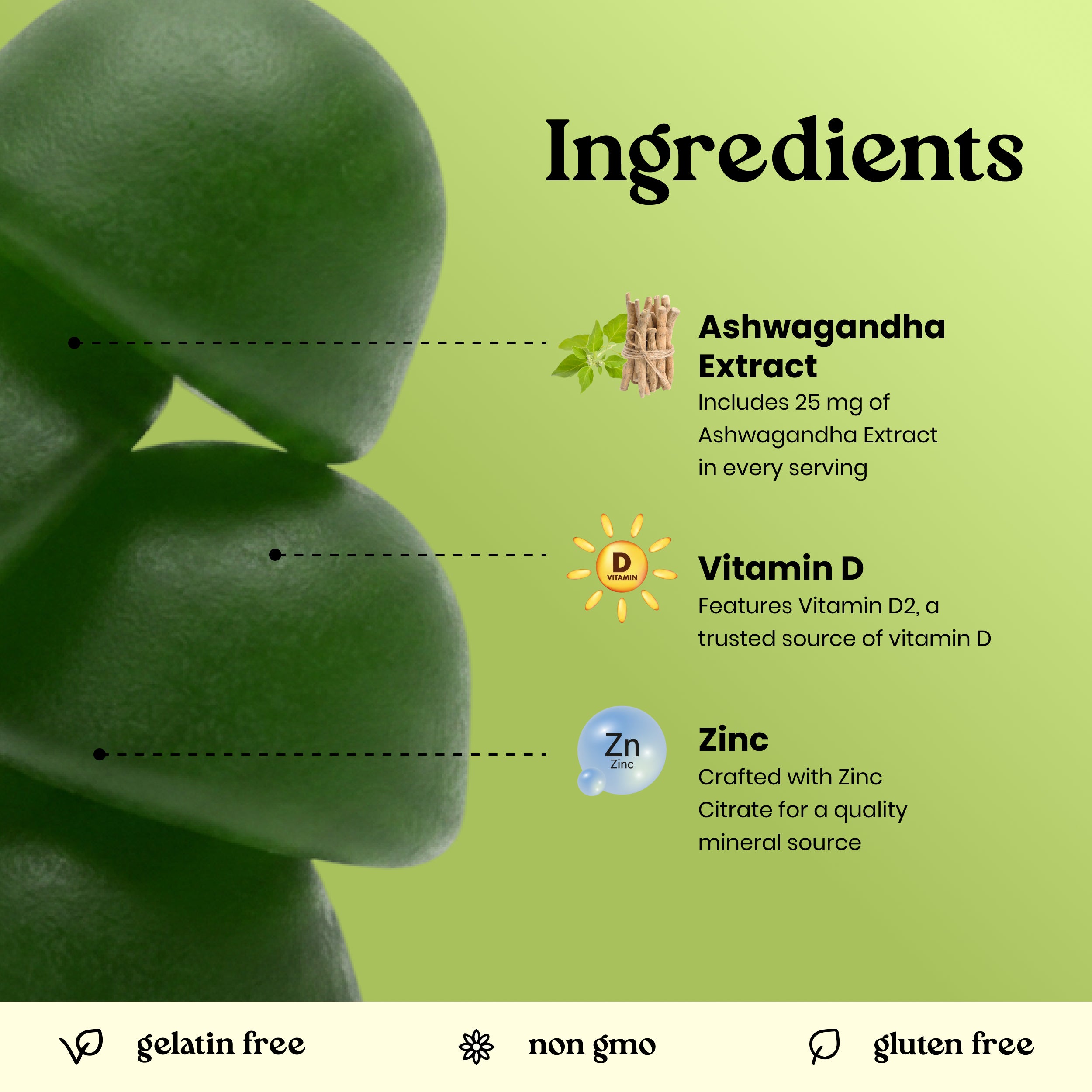 An ingredients infographic for a supplement, featuring a close-up of green seed pods on the left and text on a light green background listing Ashwagandha Extract, Vitamin D, and Zinc. The bottom banner includes icons for 'gelatin free', 'non gmo', and 'gluten free'.
