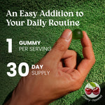 A hand holds a single green gummy candy against a textured green towel background, with large white text reading 'An Easy Addition to Your Daily Routine,' '1 GUMMY PER SERVING,' and '30 DAY SUPPLY,' plus a cherry-flavored logo in the lower right.