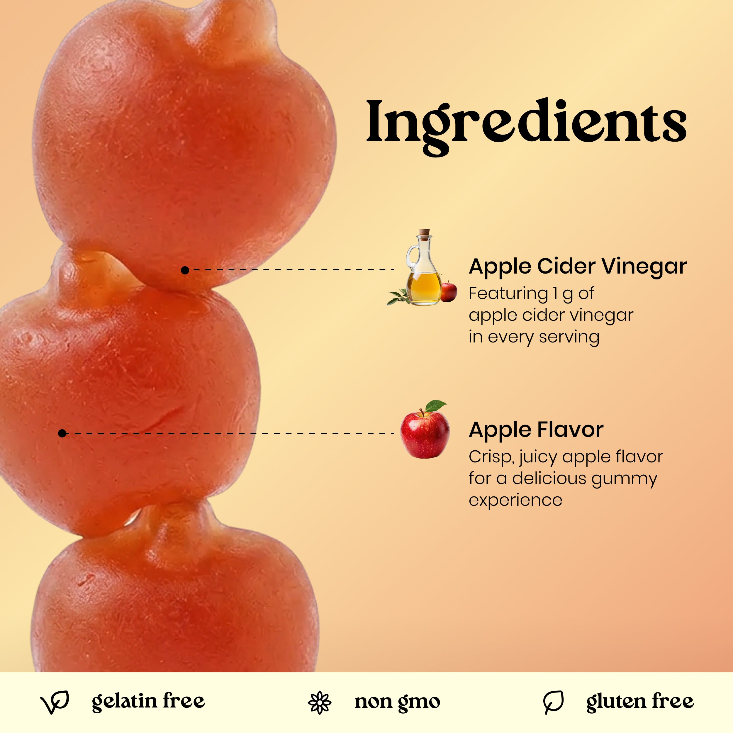 An ingredients infographic for apple-flavored gelatin gummies. The left side shows a close-up stack of reddish-orange gelatin gummies, while the right side lists ingredients including apple cider vinegar and apple flavor with small icons and text on a warm beige background.