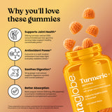 Why you'll love Vita Globe Turmeric+ Gummies: joint support, antioxidant curcumin, ginger for digestion and black pepper for absorption
