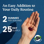 Promotional graphic with a hand holding two dark berry gummies against a blue background, with text reading 'An Easy Addition to Your Daily Routine,' '2 Gummies Per Serving,' '25 Day Supply,' and a 'Blackberry - Flavored' logo.