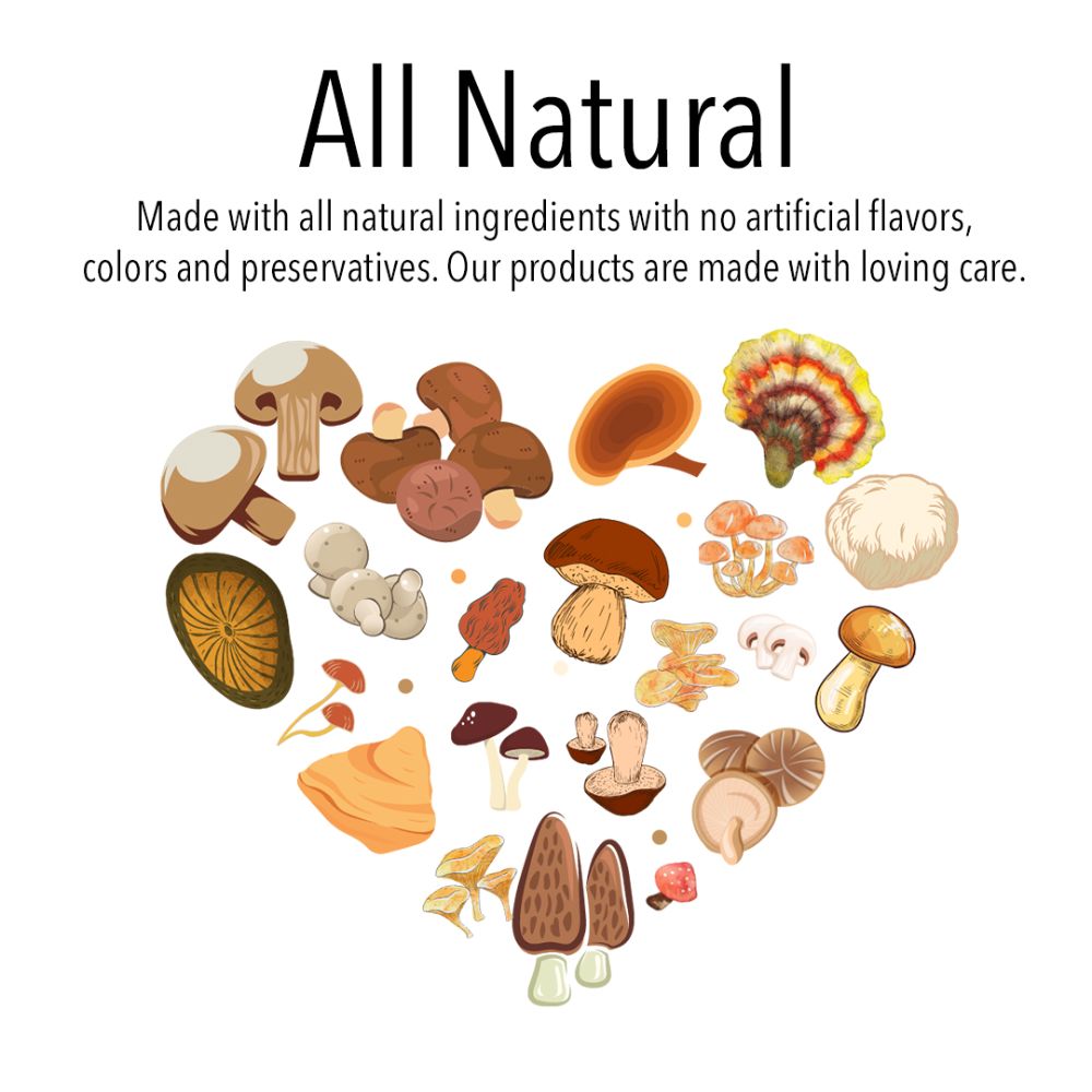 Vita Globe Mushroom Gummy Vitamin Pouches all natural