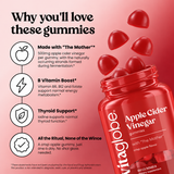 Why you'll love Vita Globe ACV gummies: made with The Mother, B vitamin boost, thyroid support, one crisp apple gummy a day