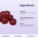 Vita Globe Melatonin Gummies ingredients: melatonin, natural blackberry flavor, pectin; gelatin-free, non-GMO, gluten-free