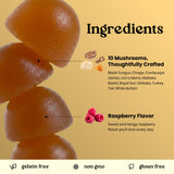 Mushroom Complex gummies ingredients infographic