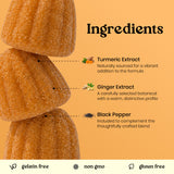 Vita Globe Turmeric+ gummies ingredients graphic: turmeric extract, ginger extract and black pepper