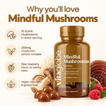 Why you'll love Vita Globe Mindful Mushrooms: 10 iconic mushrooms in every serving, 250mg mushroom extract complex, ripe raspberry flavor, vegan, non-GMO and gluten-free