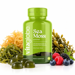 Vita Globe Sea Moss gummies bottle with green sea moss gummies, golden sea moss, bladderwrack seaweed and fresh berries