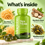 What's inside Vita Globe Sea Moss gummies: Sea Moss 87mg, Burdock Root 25mg and Bladderwrack 20mg per serving