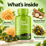 What's inside Vita Globe Sea Moss gummies: Sea Moss 87mg, Burdock Root 25mg and Bladderwrack 20mg per serving