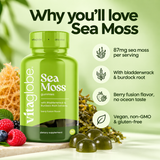 Why you'll love Vita Globe Sea Moss: 87mg sea moss per serving, with bladderwrack and burdock root, berry fusion flavor, vegan, non-GMO and gluten-free