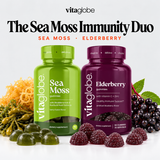 The Sea Moss Immunity Duo: Vita Globe Sea Moss and Elderberry gummies